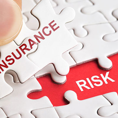 Insurance & Risk