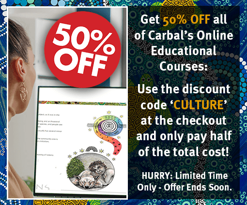 50% Discount Promo Code 2023 | Carbal's Online Education