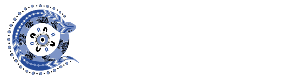 Carbal Institute of Aboriginal and Torres Strait Islander Health Research (CIHR)